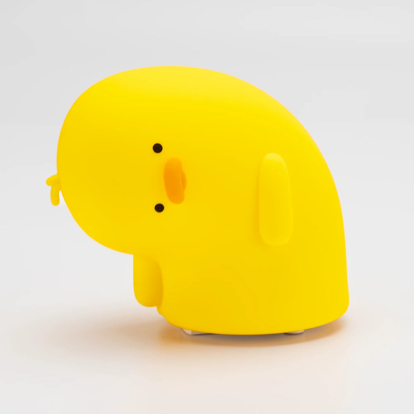 Why? Duck Lamp