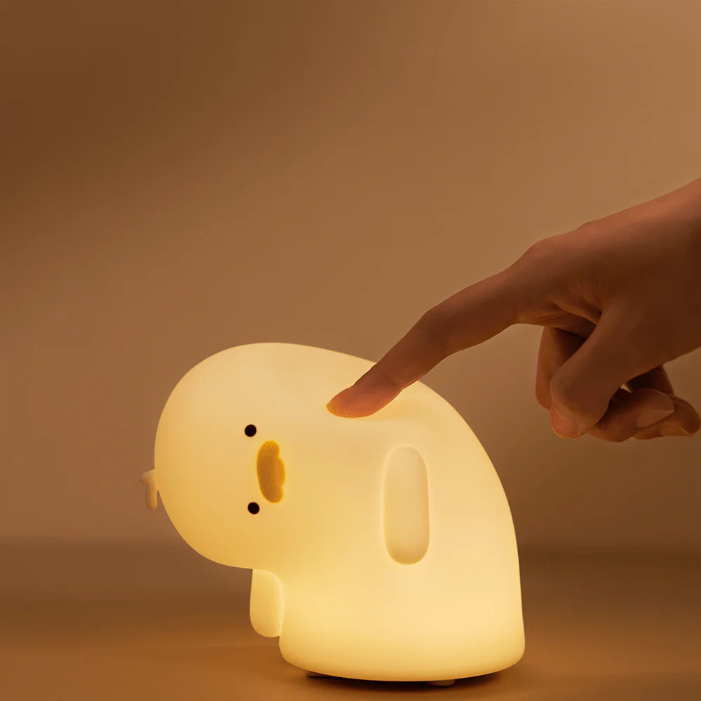 Why? Duck Lamp