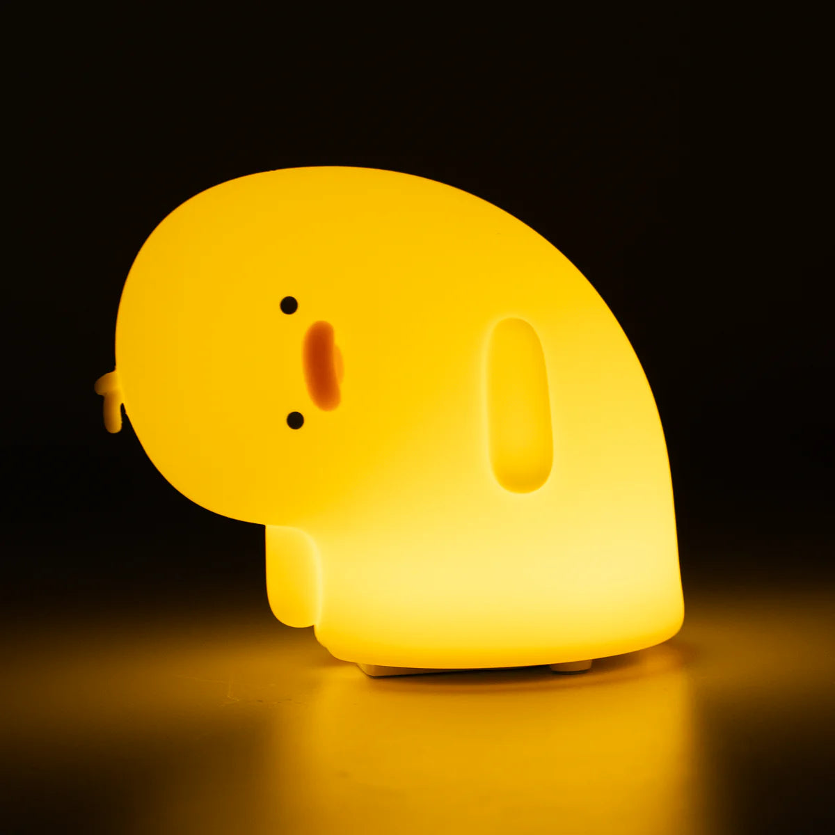 Why? Duck Lamp